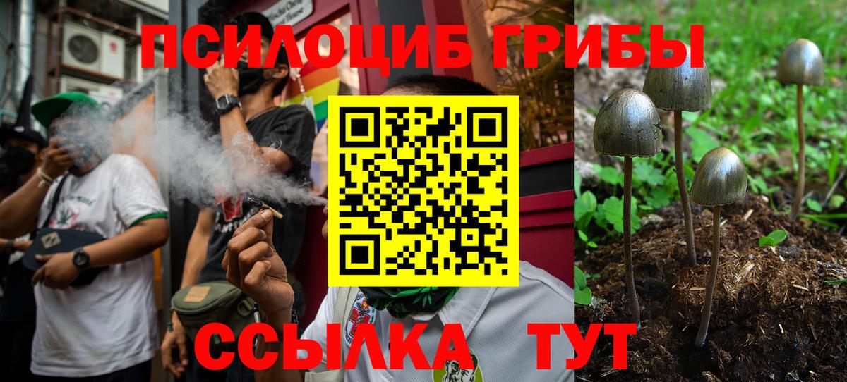 Чехов  Псилоцибиновые грибы мухоморы  Псилоцибиновые грибы MAGIC MUSHROOMS  Вход с VPN 